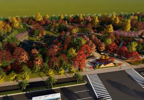紅葉公園景觀設(shè)計視頻